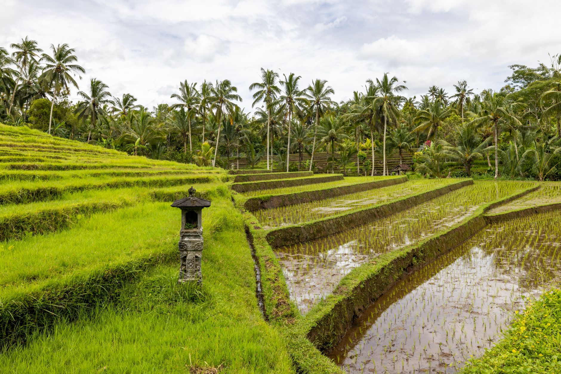 Four Seasons Resort Bali at Sayan