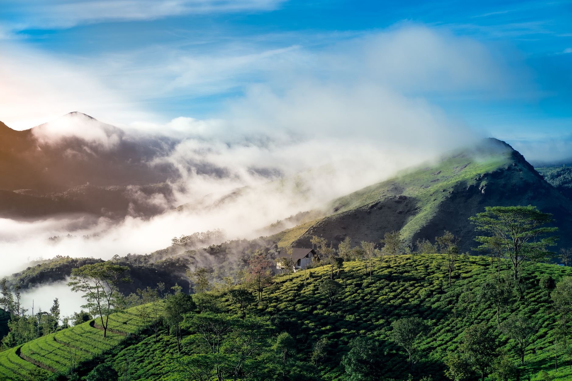 Sterling Munnar — photo 2